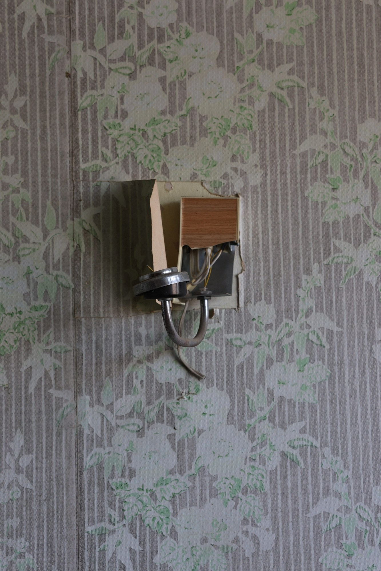 Они продолжают гулять внутри моего сердца