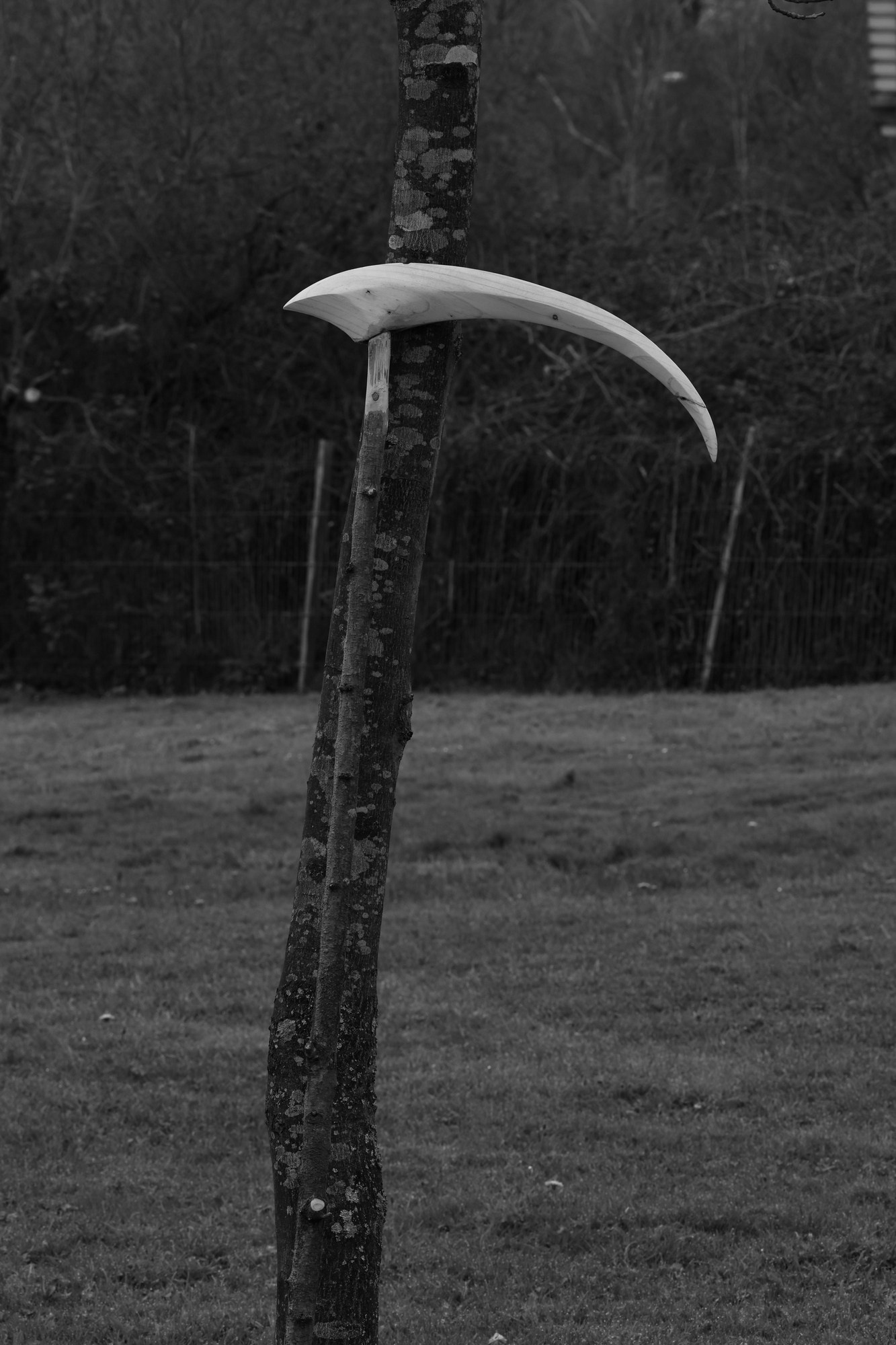 Они продолжают гулять внутри моего сердца