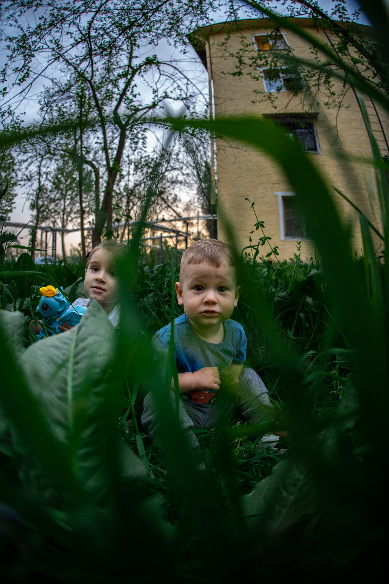 Sigma 15 mm F/2.8 Fisheye. Фотограф Григорий Кравец