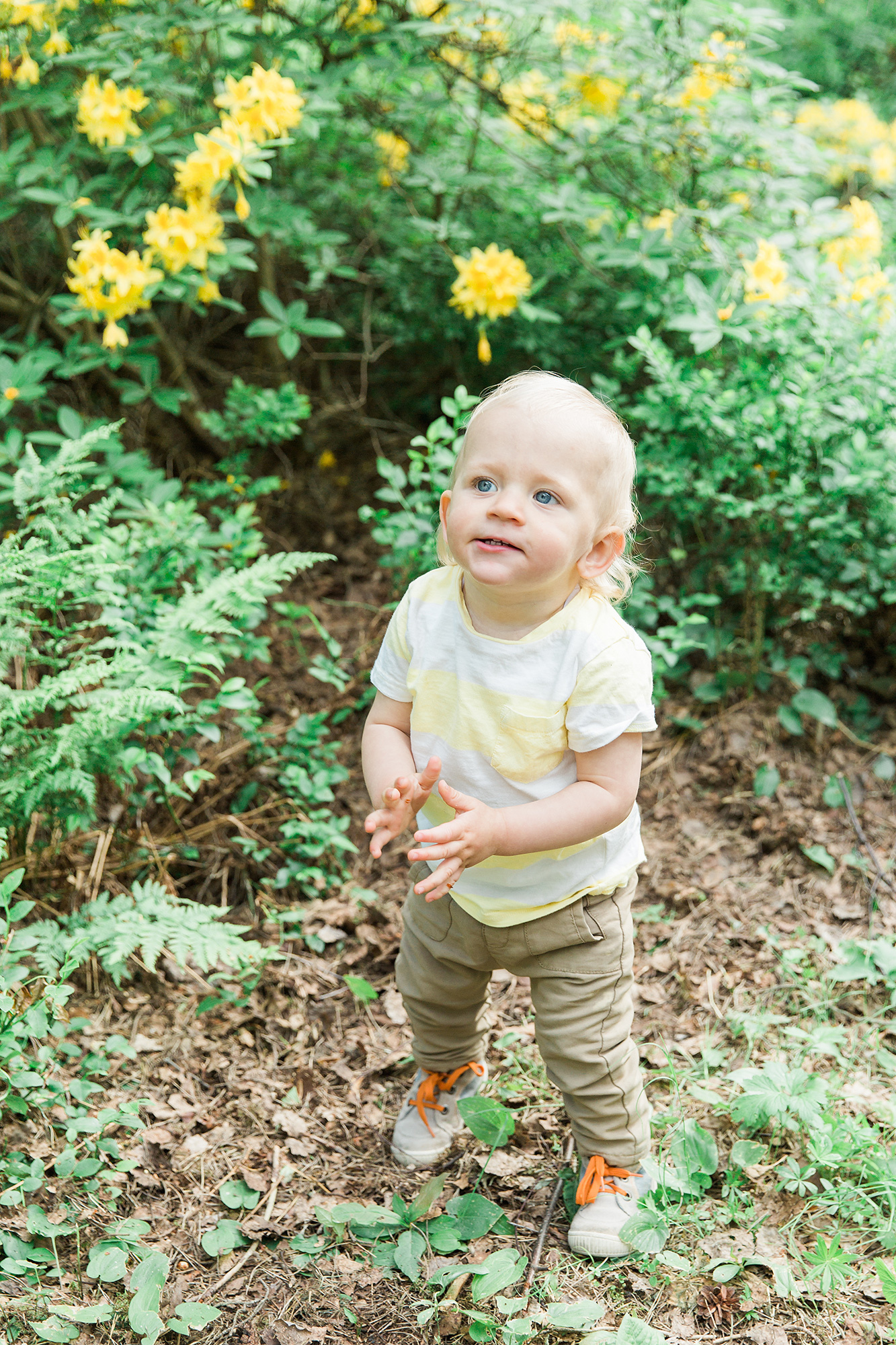 1-V KUVAUS Helsinki/ Rodopuisto