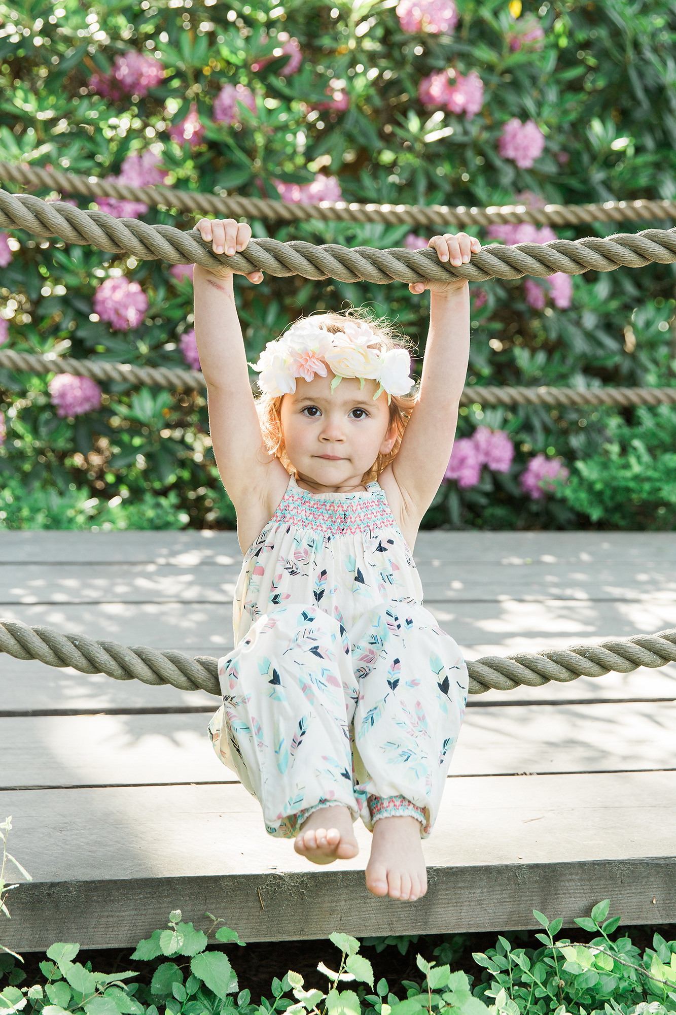 1-V KUVAUS Helsinki/ Rodopuisto