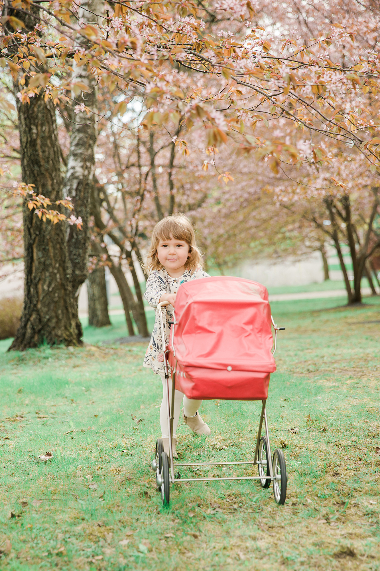 Kuvauspäivä kirsikkapuistossa 19.5.2018
