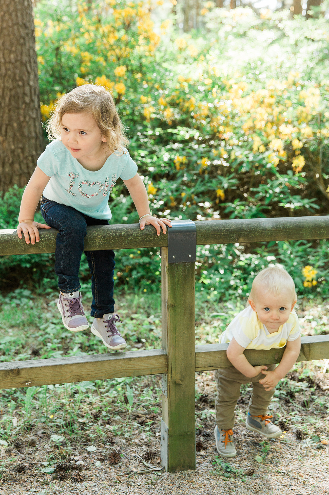 1-V KUVAUS Helsinki/ Rodopuisto