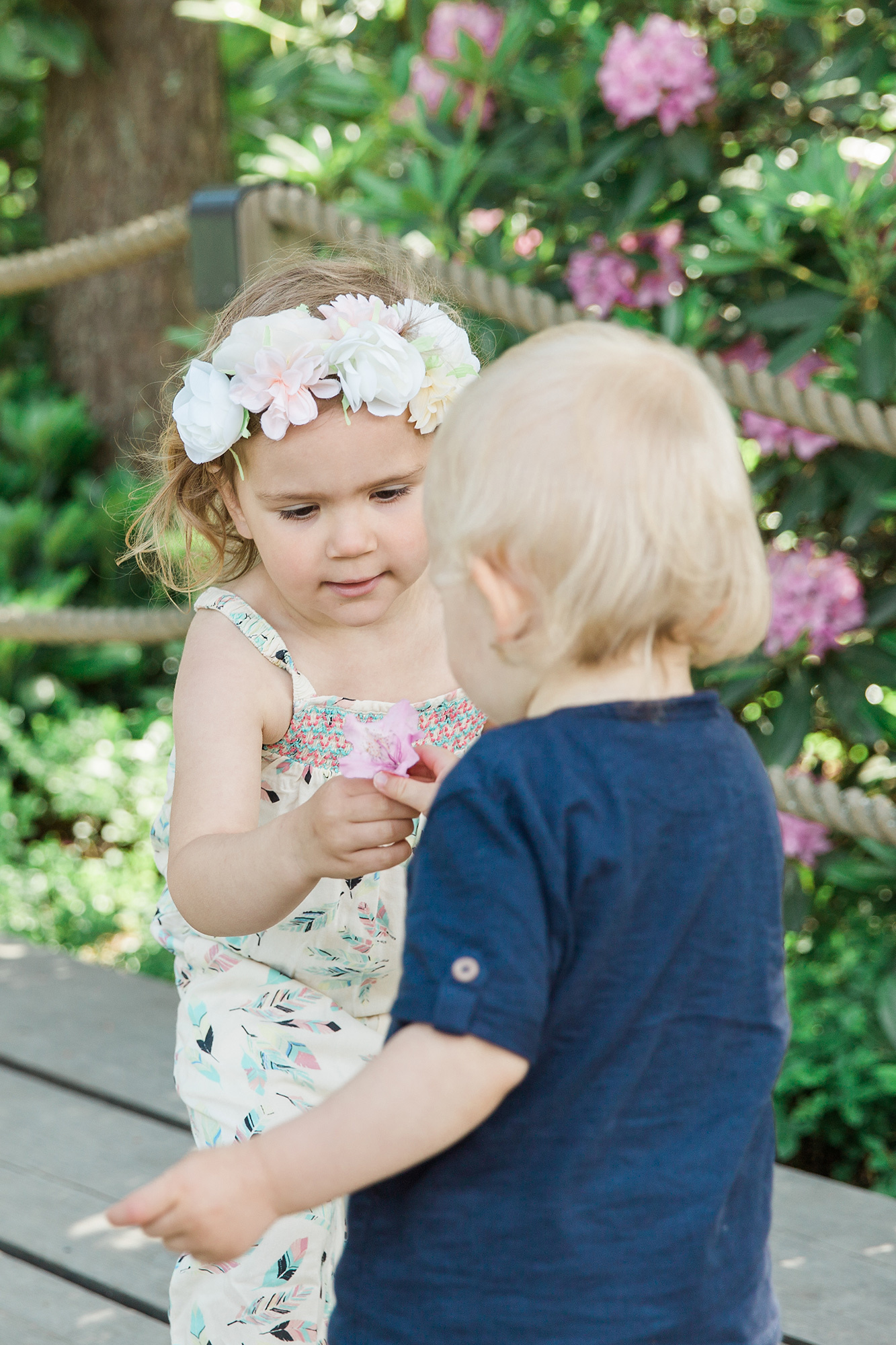 1-V KUVAUS Helsinki/ Rodopuisto