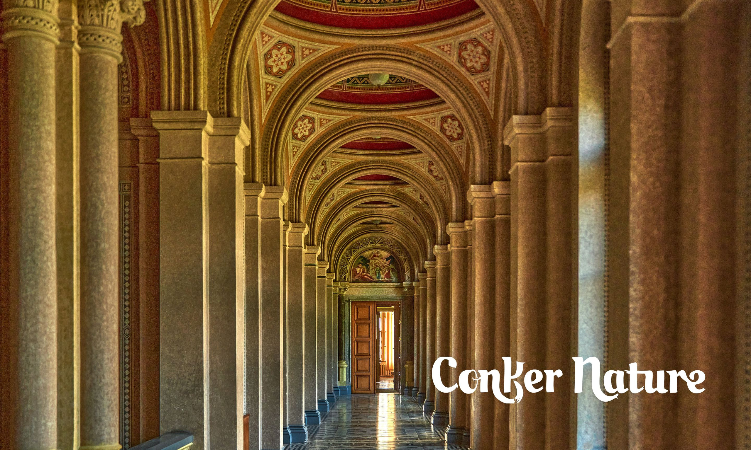 Konker Nature — Web — Chernivtsi. Профессиональный Фотограф Халемонец Андрей в Кривой Рог Днепр Украина