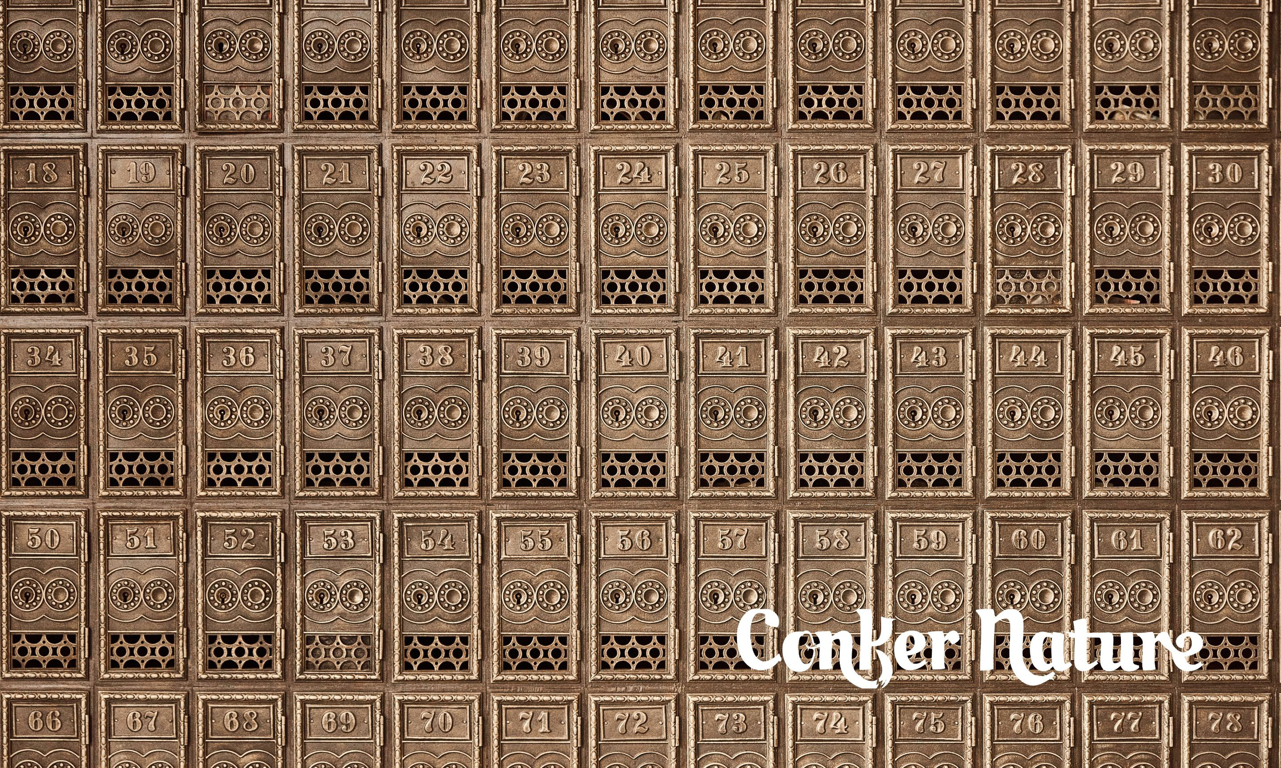 Черновцы - почтовое отделение.