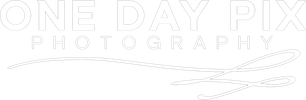 onedaypix.com