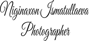 niginaxonphotoart.wfolio.pro