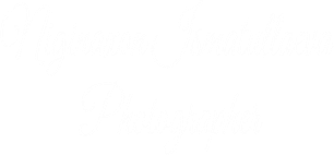 niginaxonphotoart.wfolio.pro