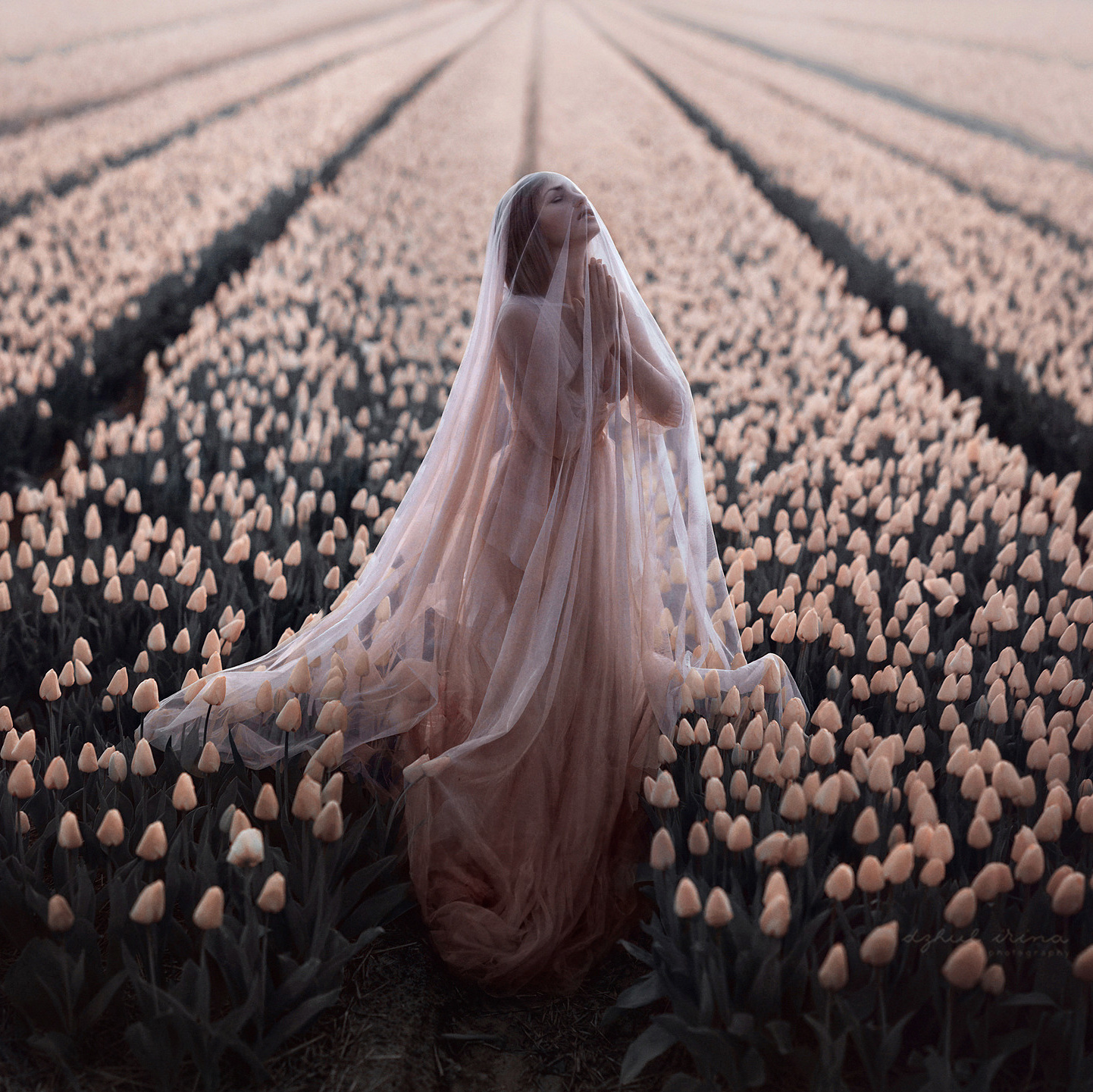 SOUL OF FLOWER. Art photographer in Amsterdam, the Netherlands Irina Dzhul