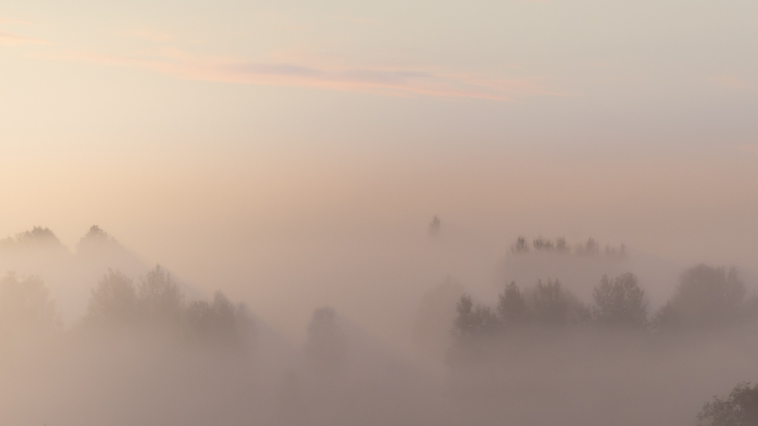 Portrait and Street photographer in Vilnius Edgar Shaipunas