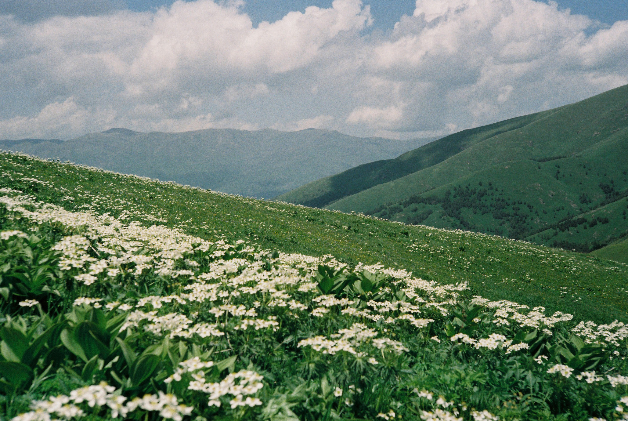 Prints. Lilit Danielyan — Photographer, Filmmaker, and Educator in Lisbon, Portugal