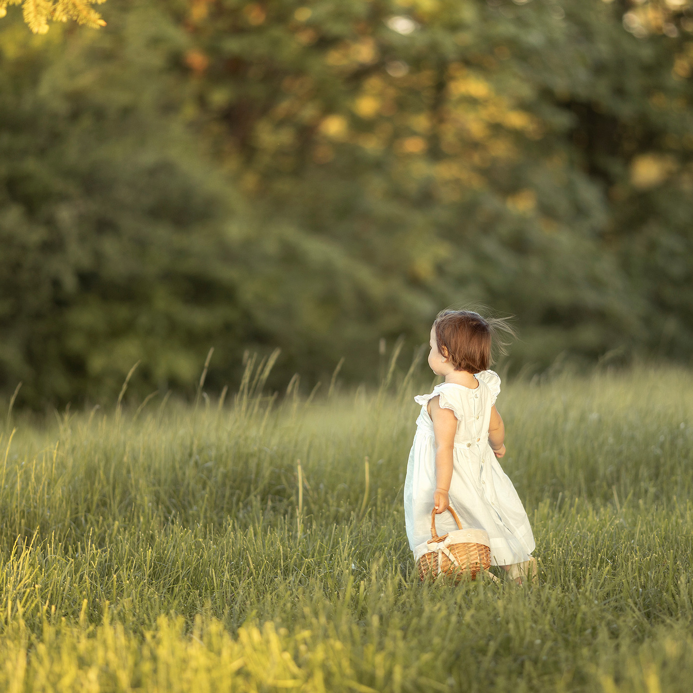 Prices. Elena Baldes, family photographer