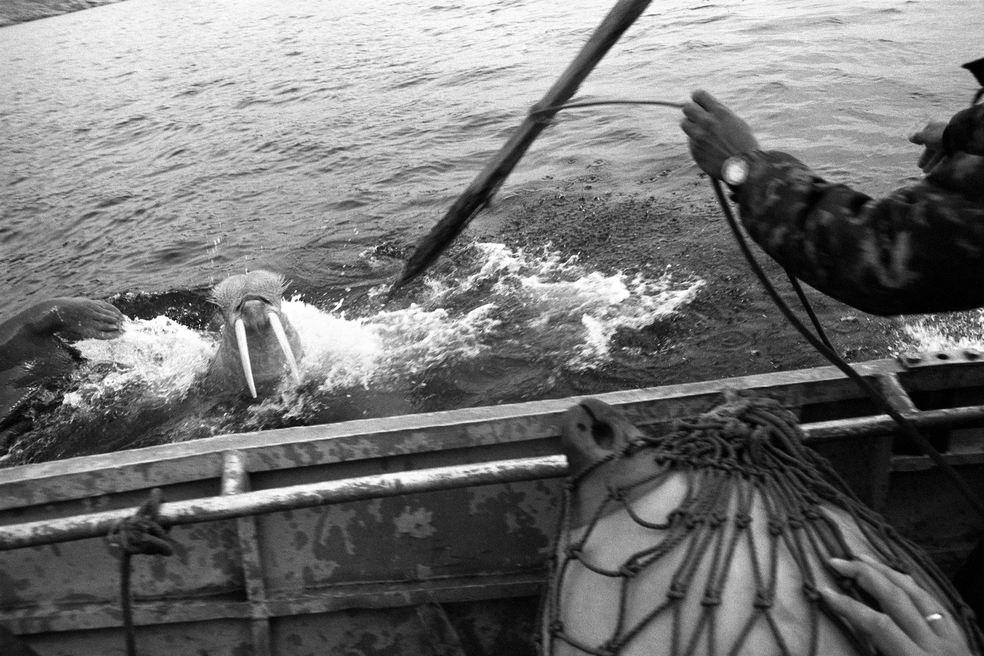 The Calvert Journal. Misha Maslennikov. Documentary photography. Odessa