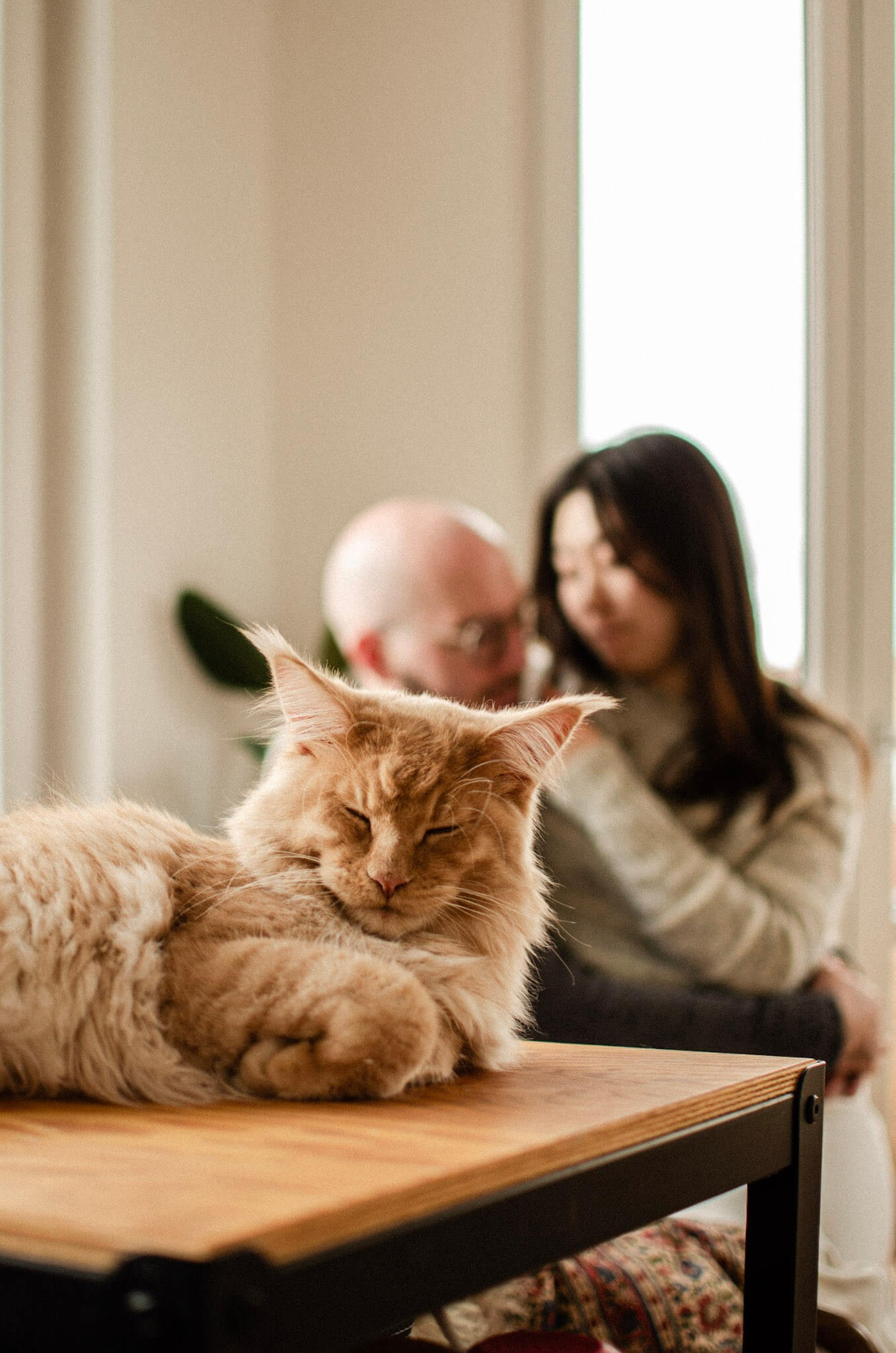 Family & Love Story Photographer in Munich | Everwarm Studio. Everwarm Photo and Video Studio