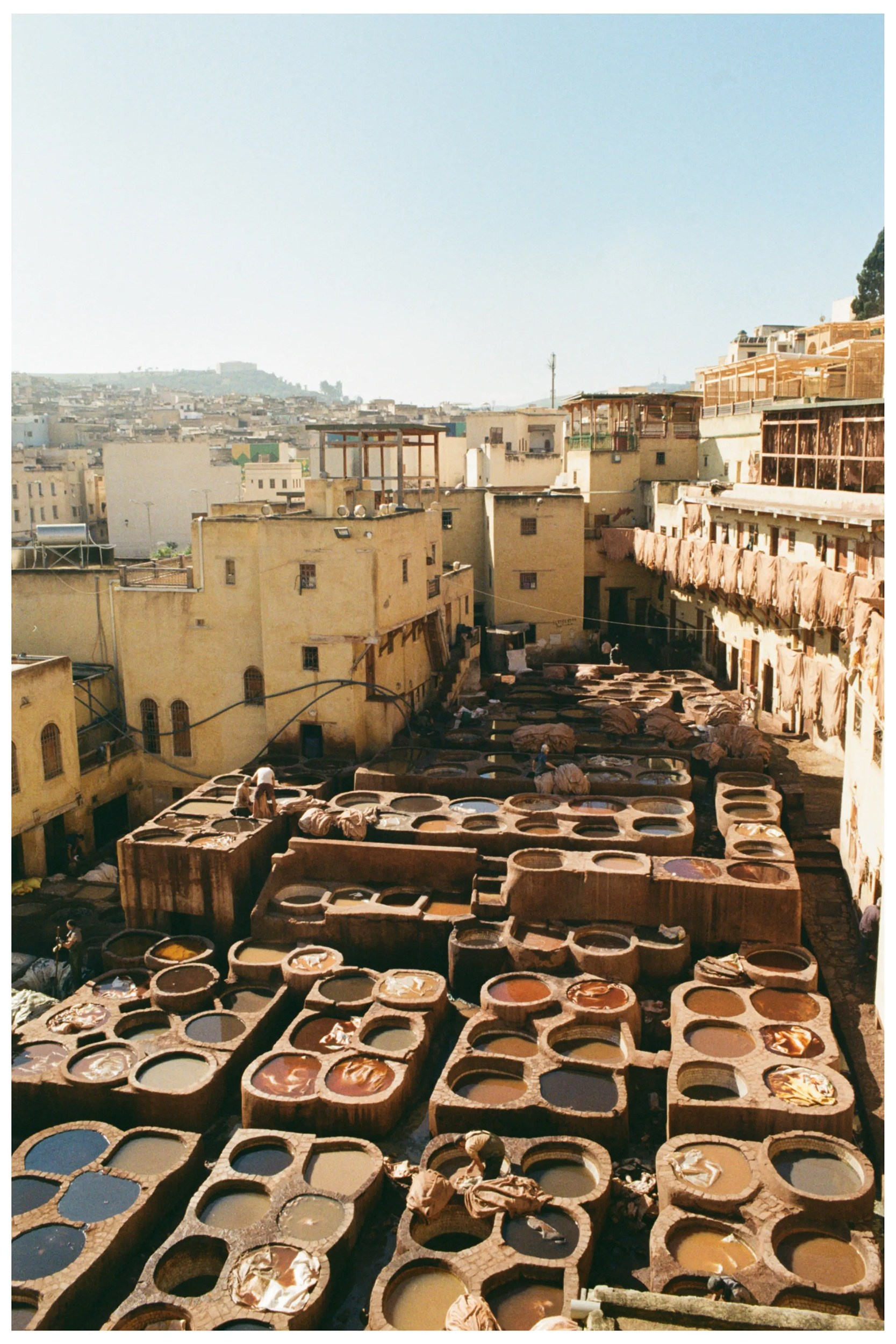 Education. Areg Balayan — Photographer/Visual Artist