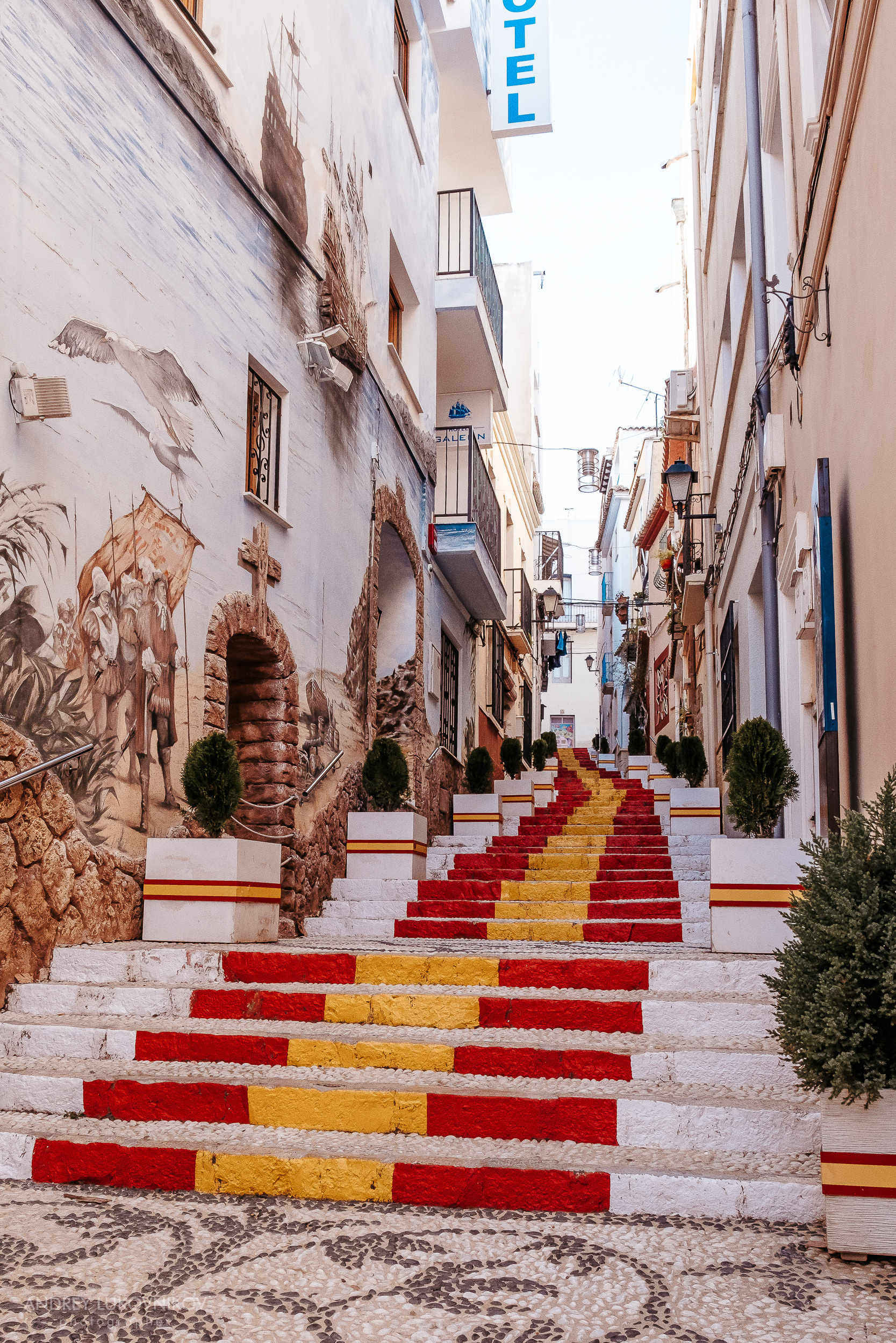 Calle Puchalt (Улица Пухалта)