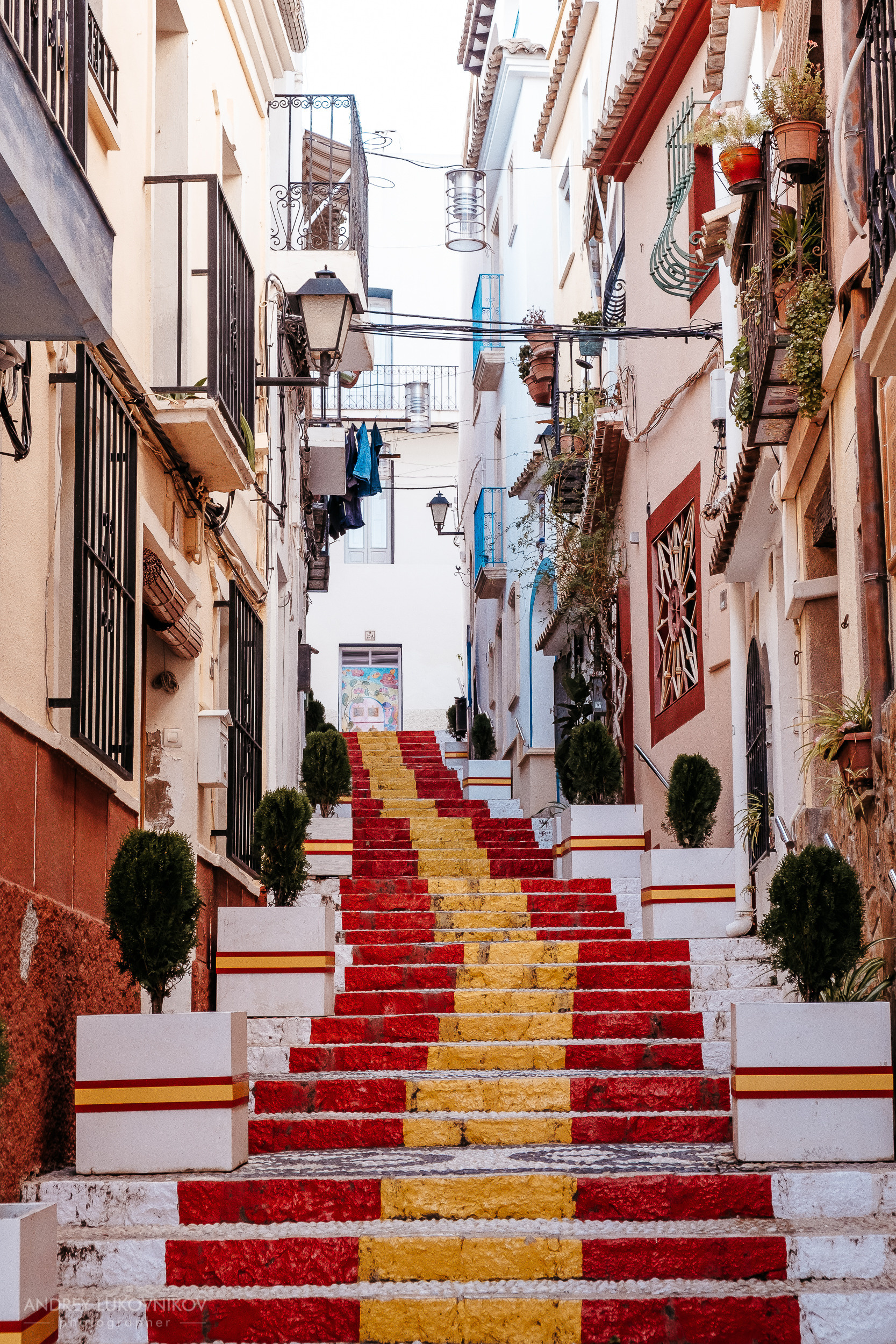 Calle Puchalt (Улица Пухалта)