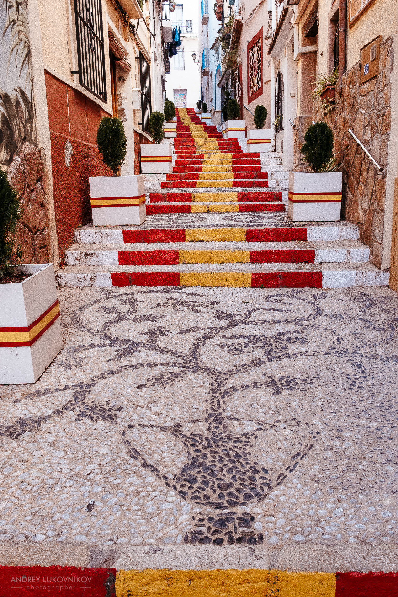 Calle Puchalt (Улица Пухалта)