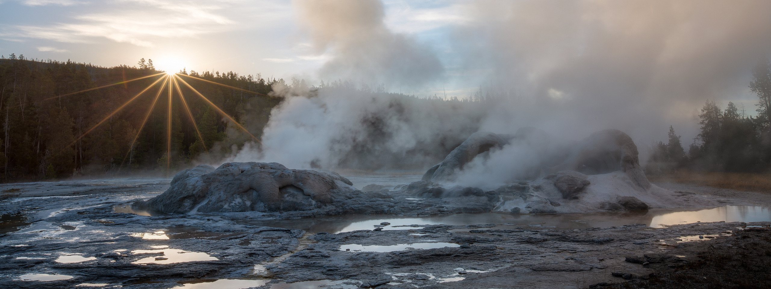 Условия - Удивительный Северо-Запад США. Pet, Senior, Landscape, portrait studio, photographer in Miami and Sou