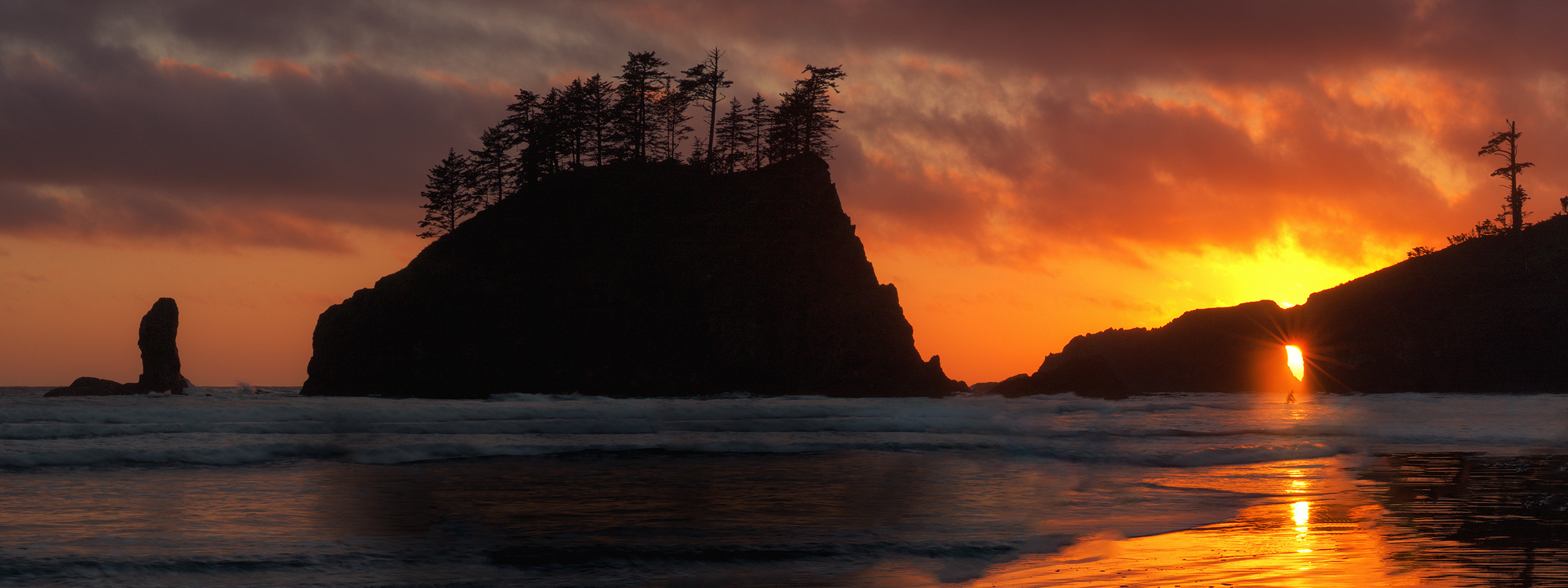 Summer in Oregon and Palouse. Pet, Senior, Landscape, portrait studio, photographer in Miami and Sou