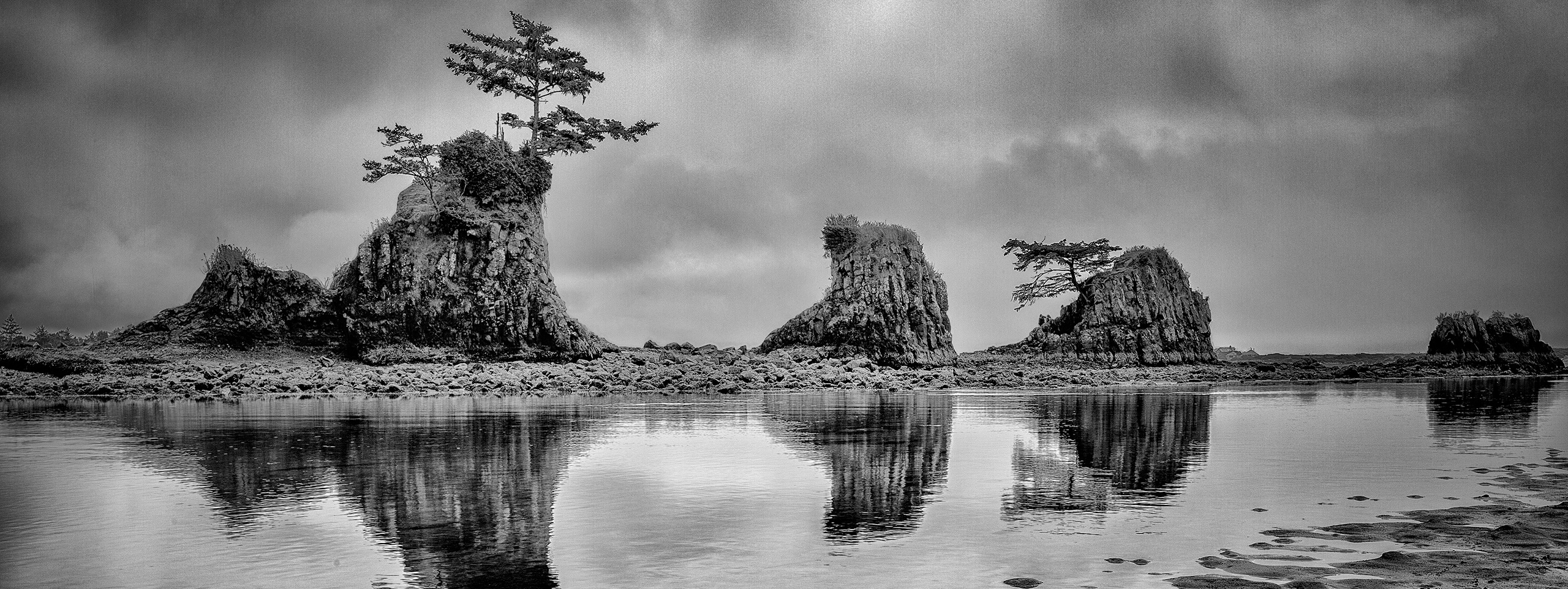 Recommended Equipment. Pet, Senior, Landscape, portrait studio, photographer in Miami and Sou