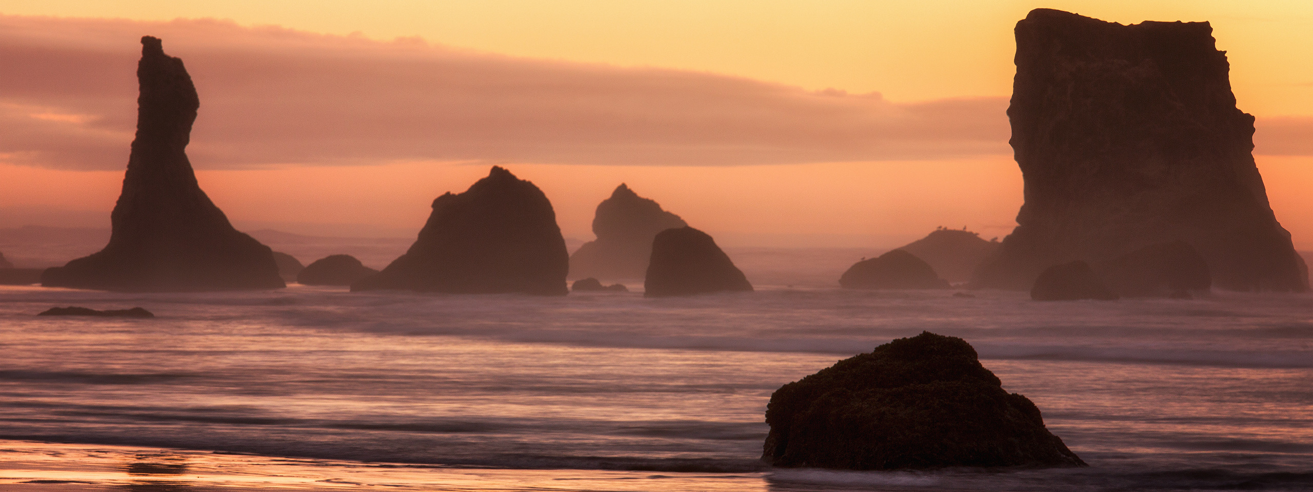 Oregon Coast Photo Workshop. Pet, Senior, Landscape, portrait studio, photographer in Miami and Sou