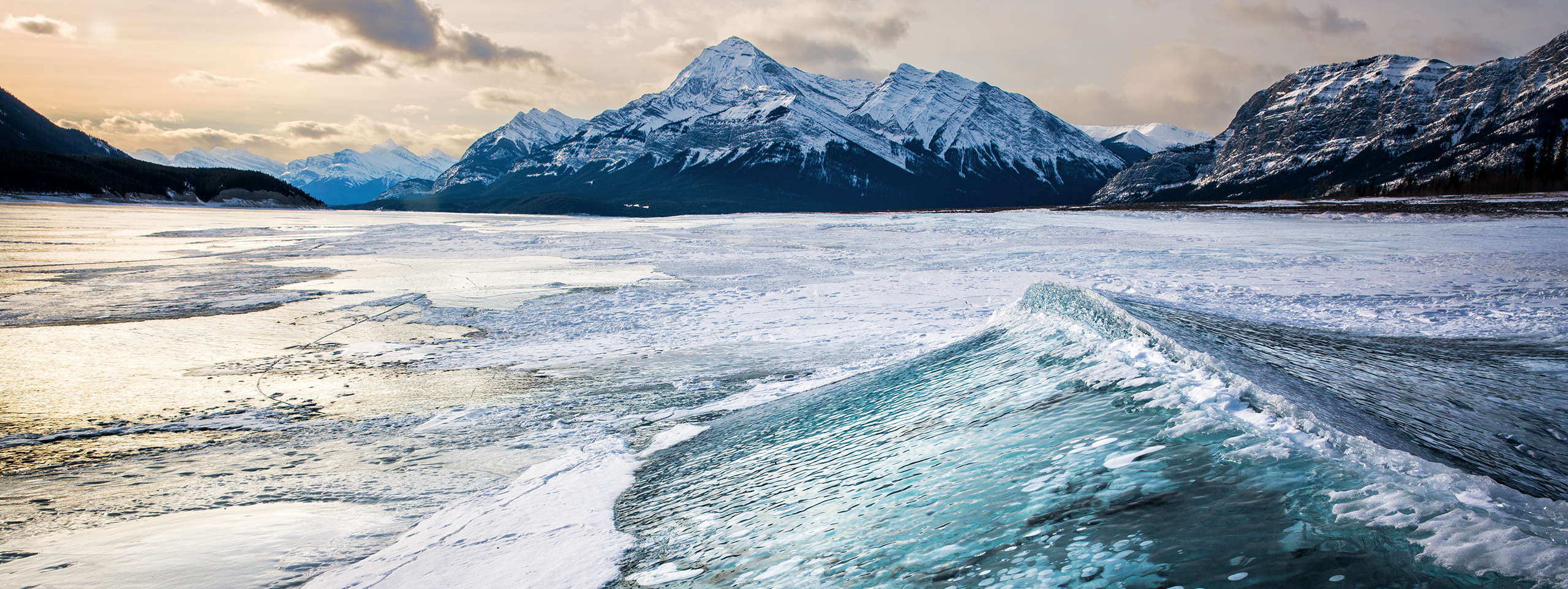 Зима в Альберте. Условия Участия. Alex Mironyuk Photography