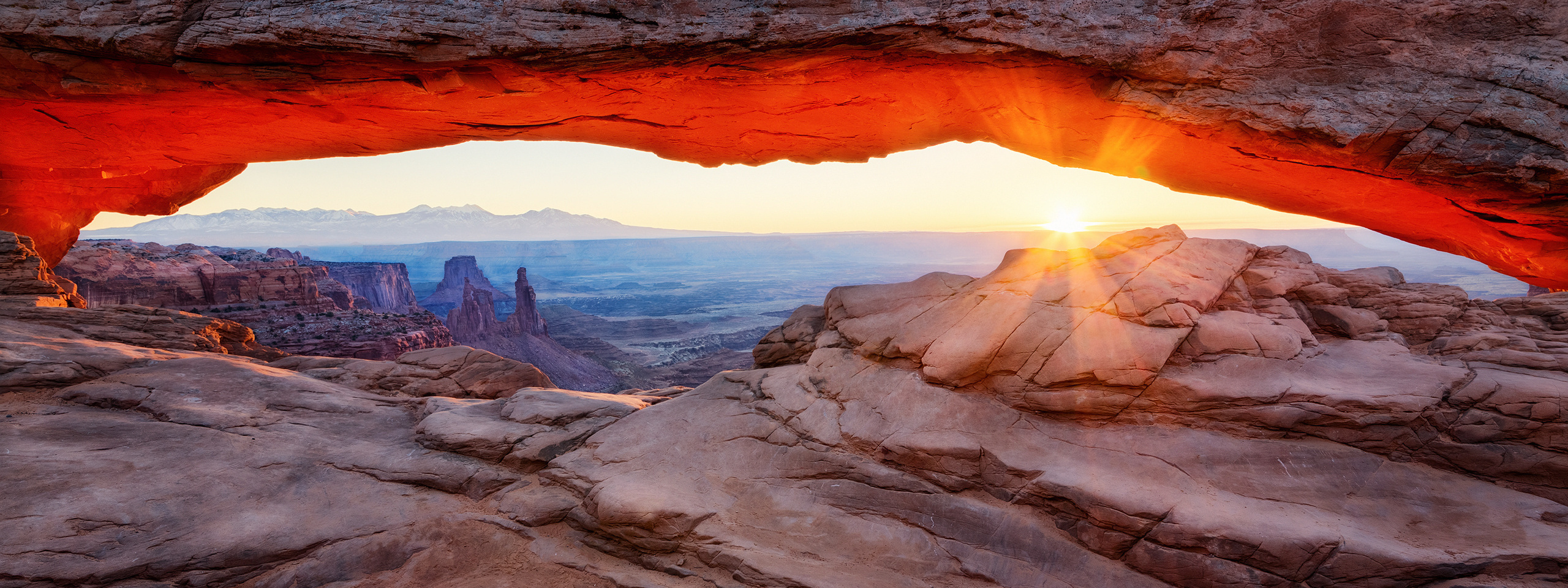 Book the Tour. Pet, Senior, Landscape, portrait studio, photographer in Miami and Sou