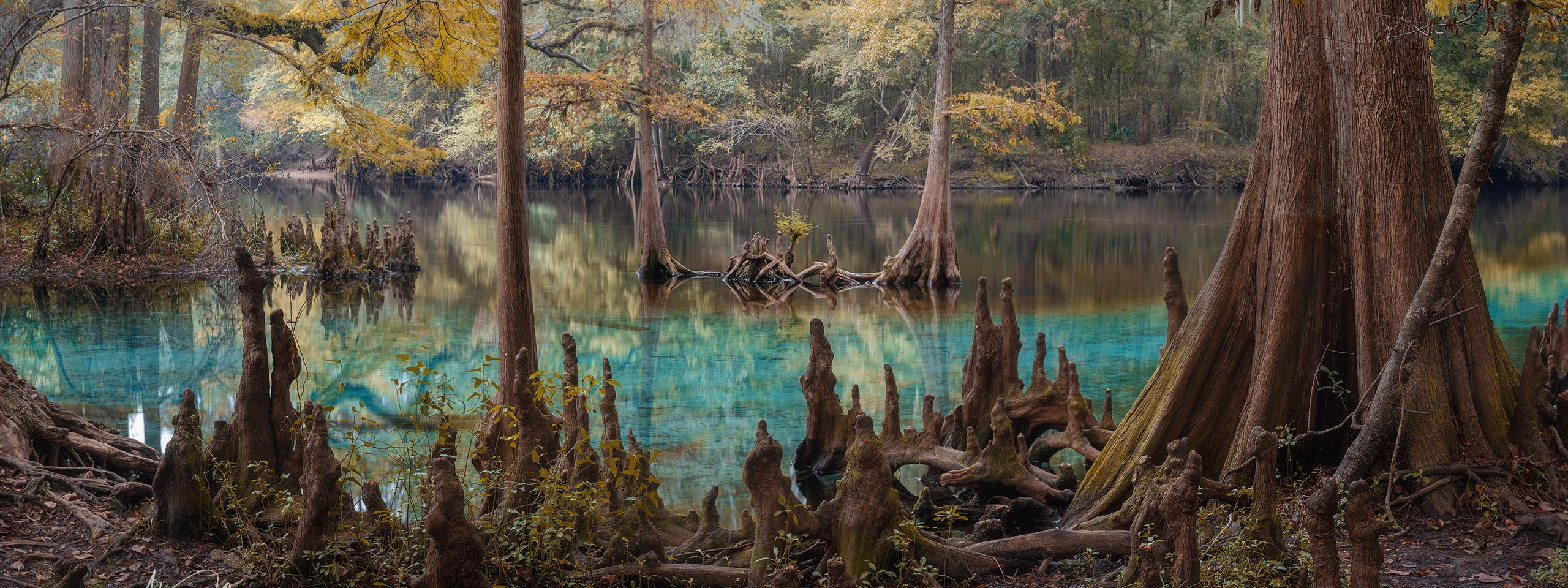 Exploring True Florida: Springs, Rivers & Manatees by Canoe. Pet, Senior, Landscape, portrait studio, photographer in Miami and Sou