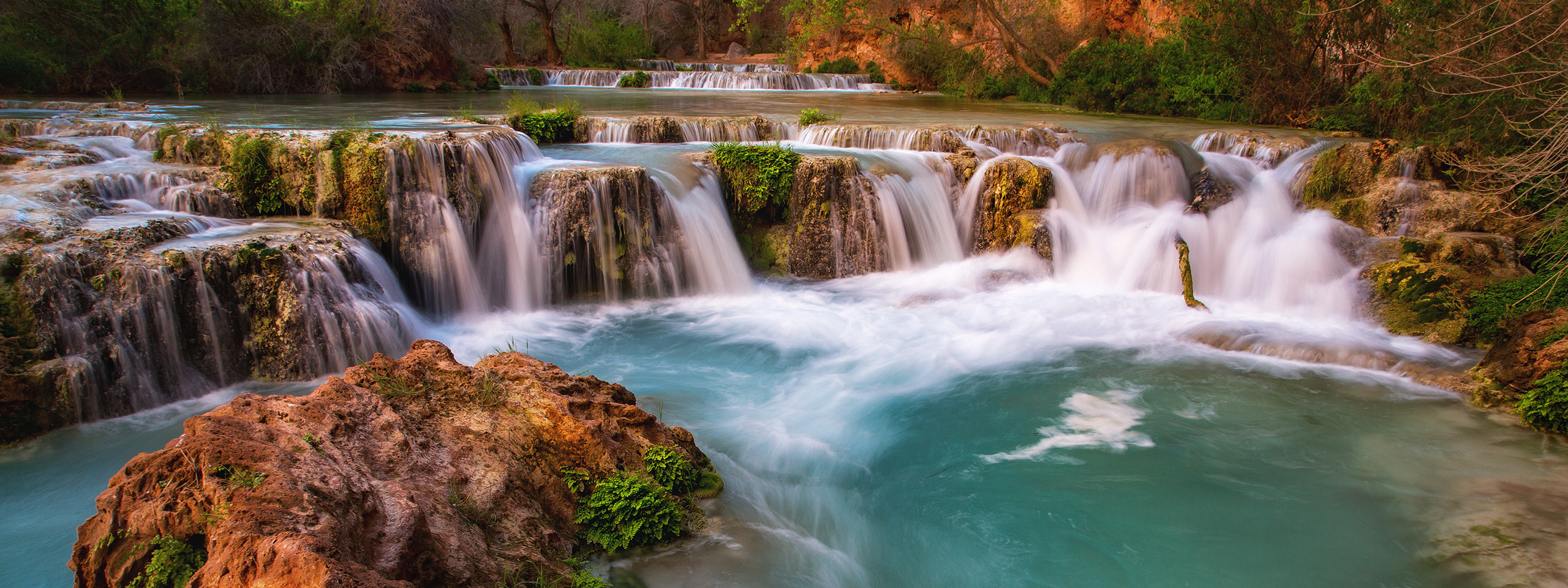 Terms & Conditions. Pet, Senior, Landscape, portrait studio, photographer in Miami and Sou