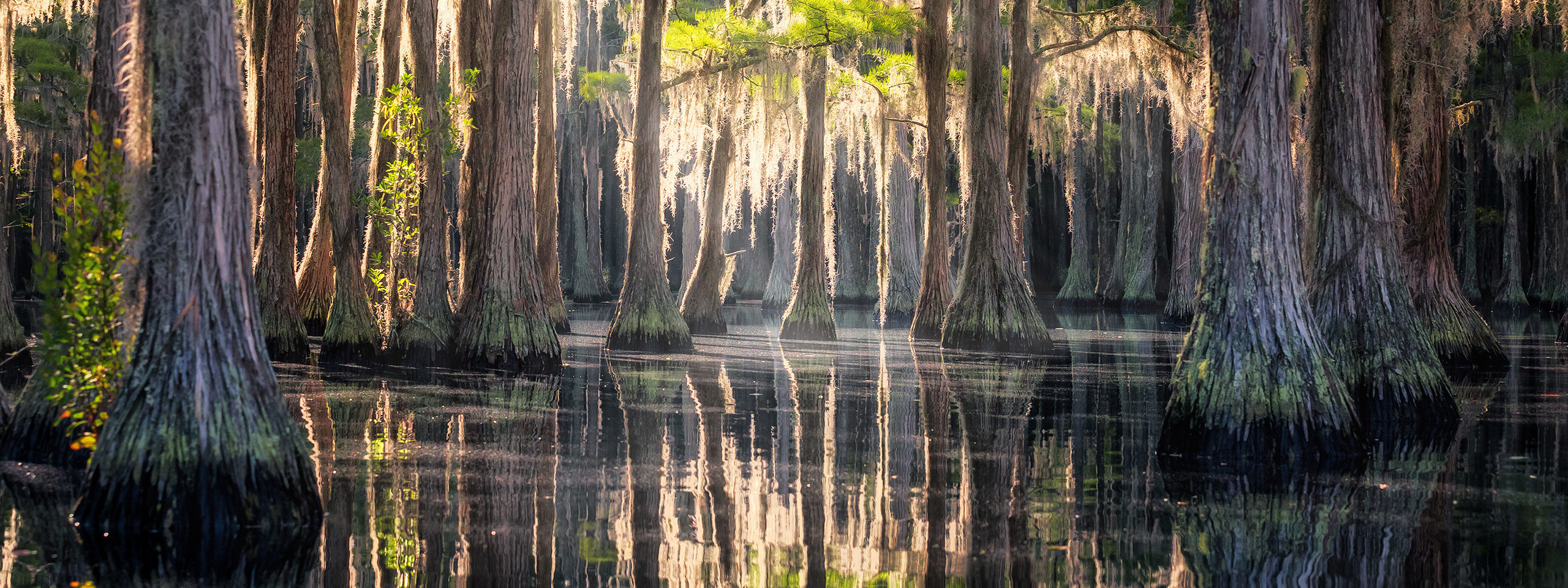 Рекомендованное Фото-оборудование и Снаряжение. Alex Mironyuk Photography