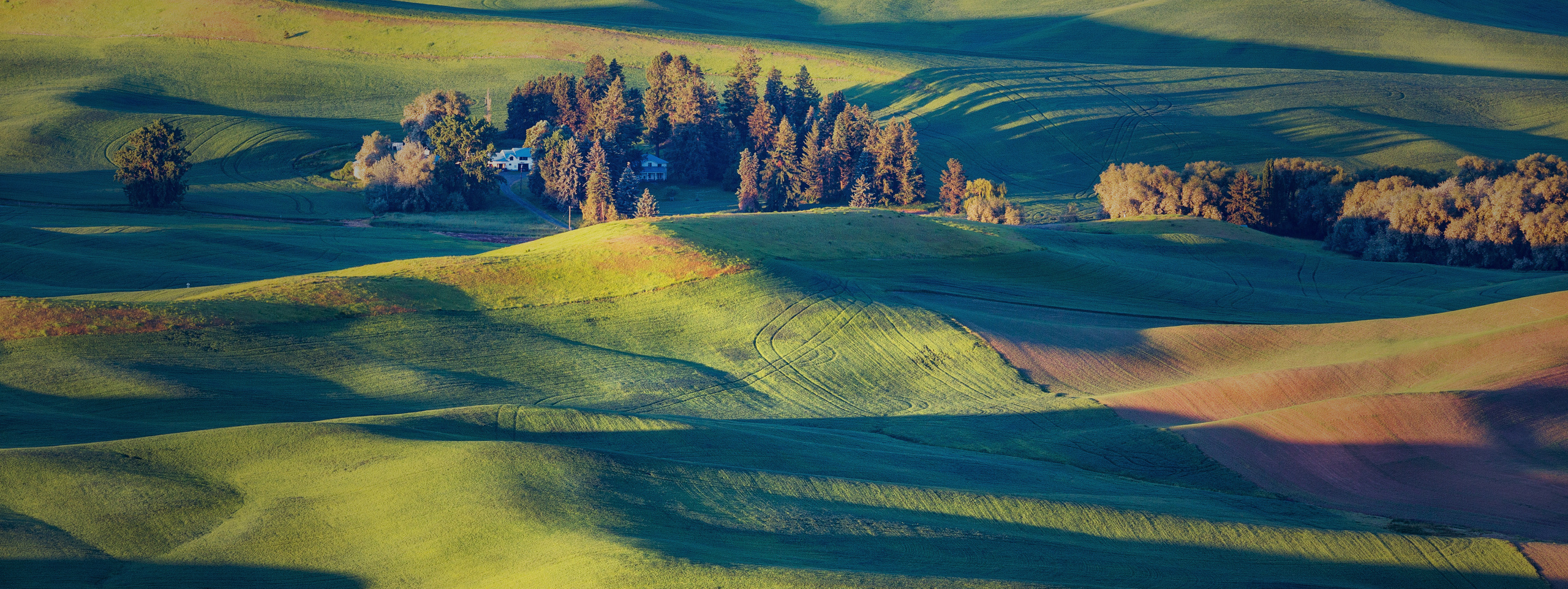 Unlimited Palouse. Alex Mironyuk Photography