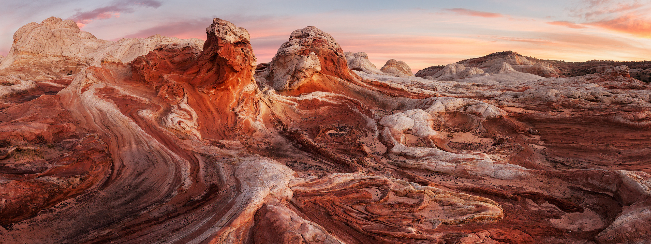 Программа. Alex Mironyuk Photography