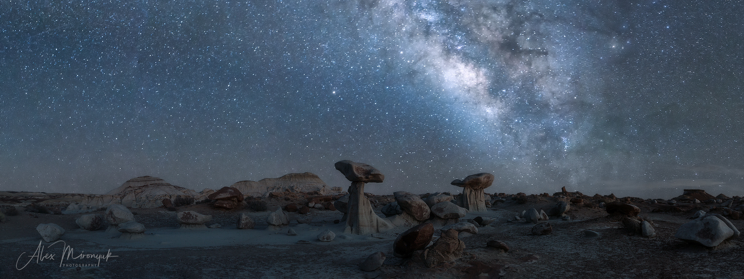 Colors of Colorado & New Mexico. Pet, Senior, Landscape, portrait studio, photographer in Miami and Sou