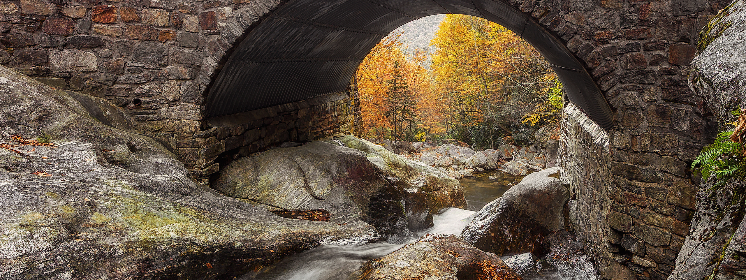 Fall at Great Smoky Mountains. Pet, Senior, Landscape, portrait studio, photographer in Miami and Sou