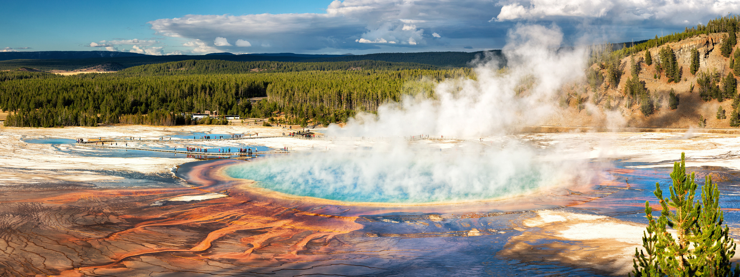 Photo - Workshop “Unforgettable North-West”. Pet, Senior, Landscape, portrait studio, photographer in Miami and Sou