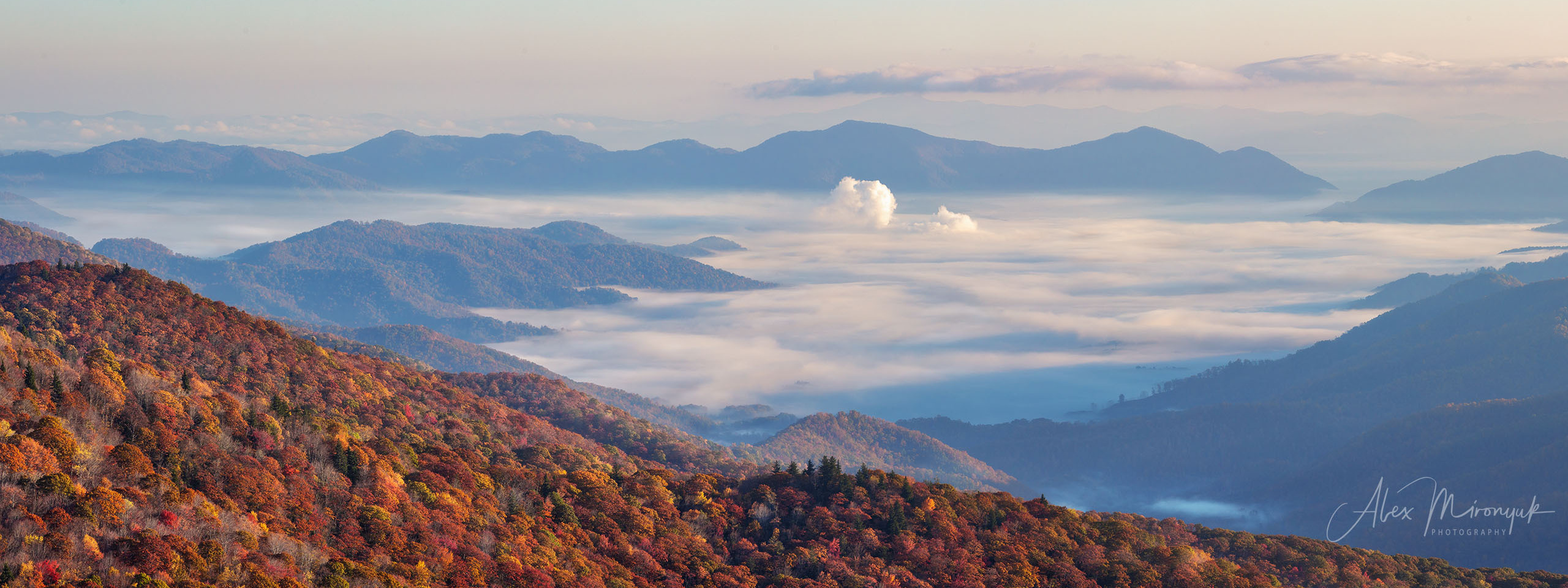 Fall at Great Smoky Mountains. Pet, Senior, Landscape, portrait studio, photographer in Miami and Sou