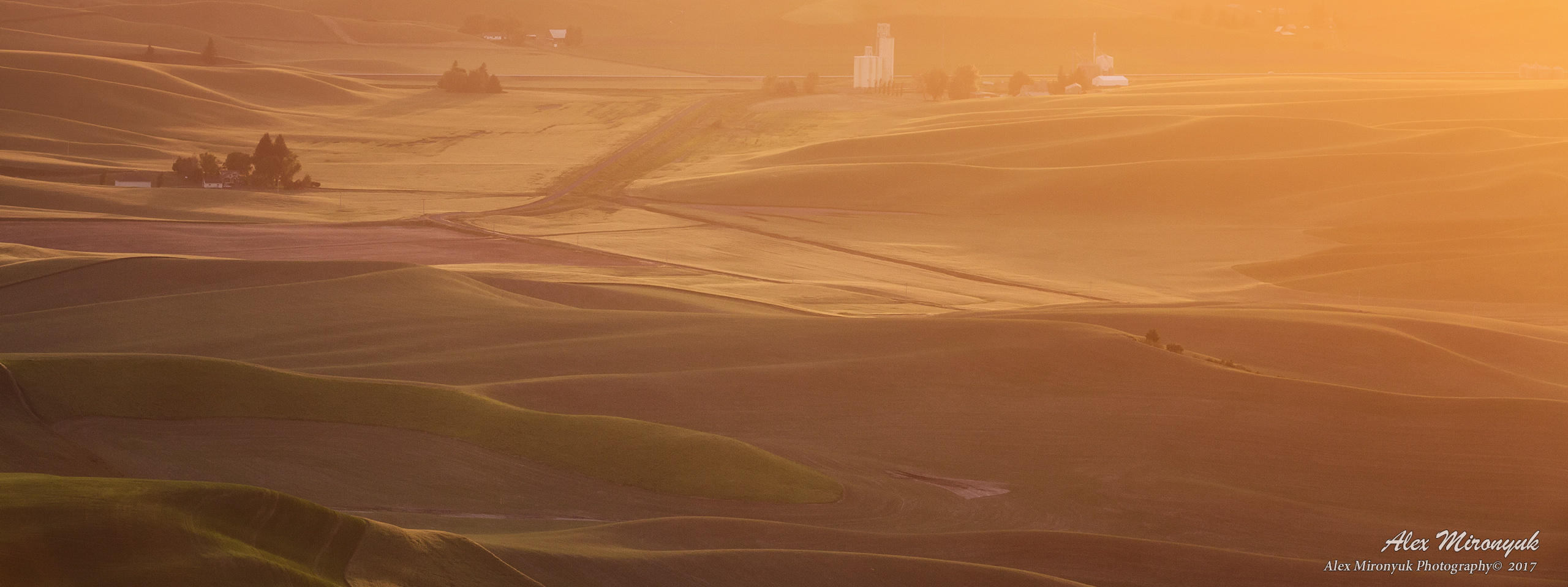 Unlimited Palouse. Alex Mironyuk Photography