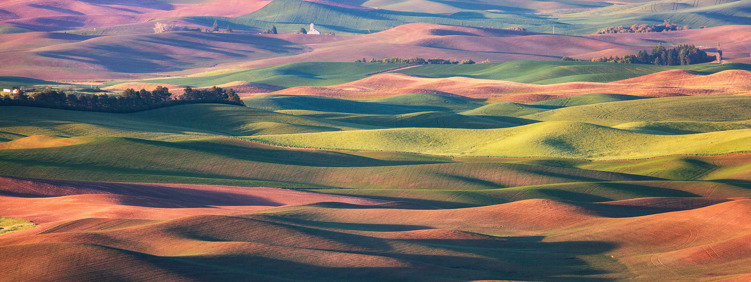 Unlimited Palouse. Alex Mironyuk Photography