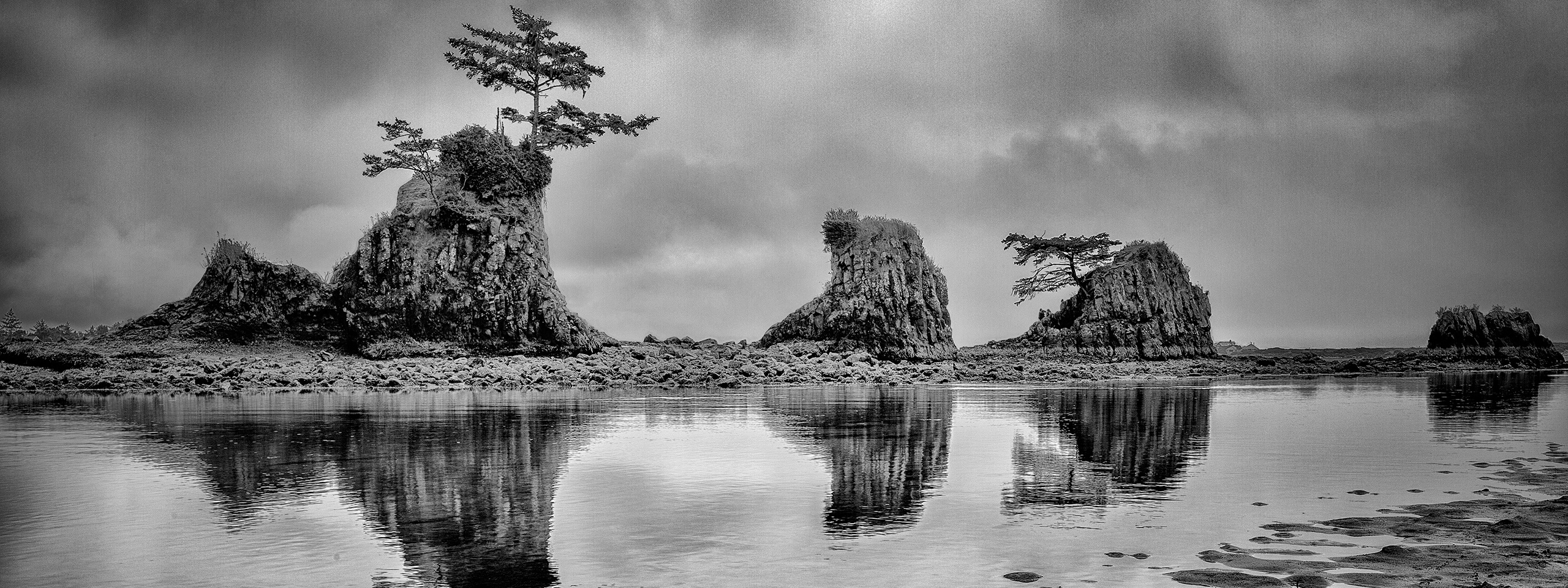 Oregon's Coast Recommended Equipment. Pet, Senior, Landscape, portrait studio, photographer in Miami and Sou