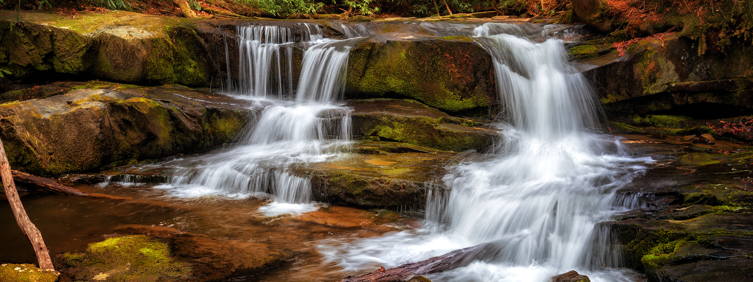 Осень в Больших Дымчатых Горах. Alex Mironyuk Photography