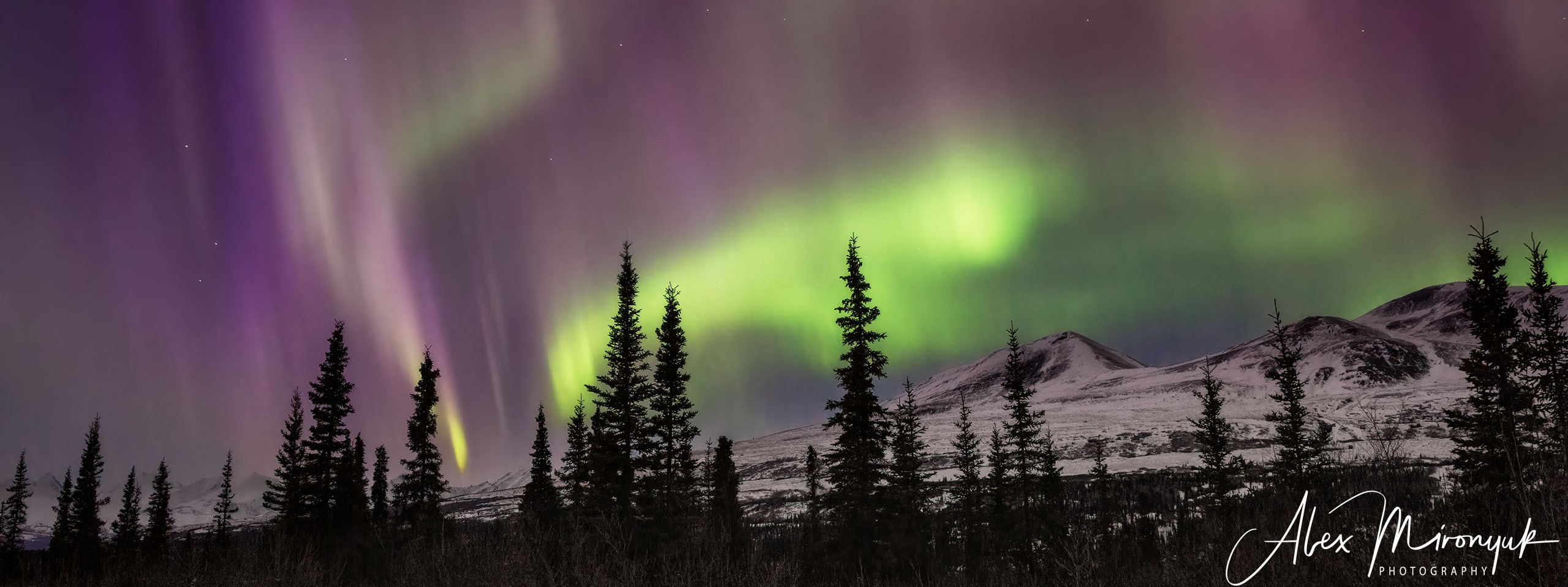 Ice Caves Adventure. Pet, Senior, Landscape, portrait studio, photographer in Miami and Sou