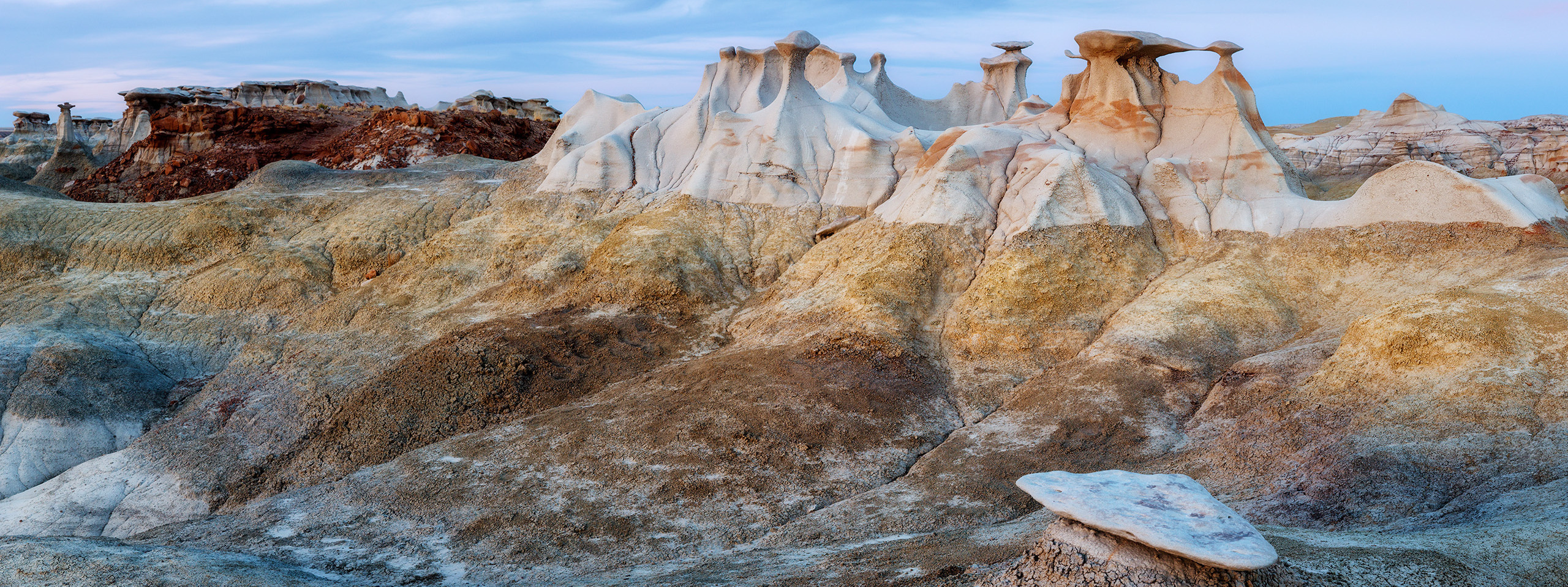 Recommended Equipment. Pet, Senior, Landscape, portrait studio, photographer in Miami and Sou