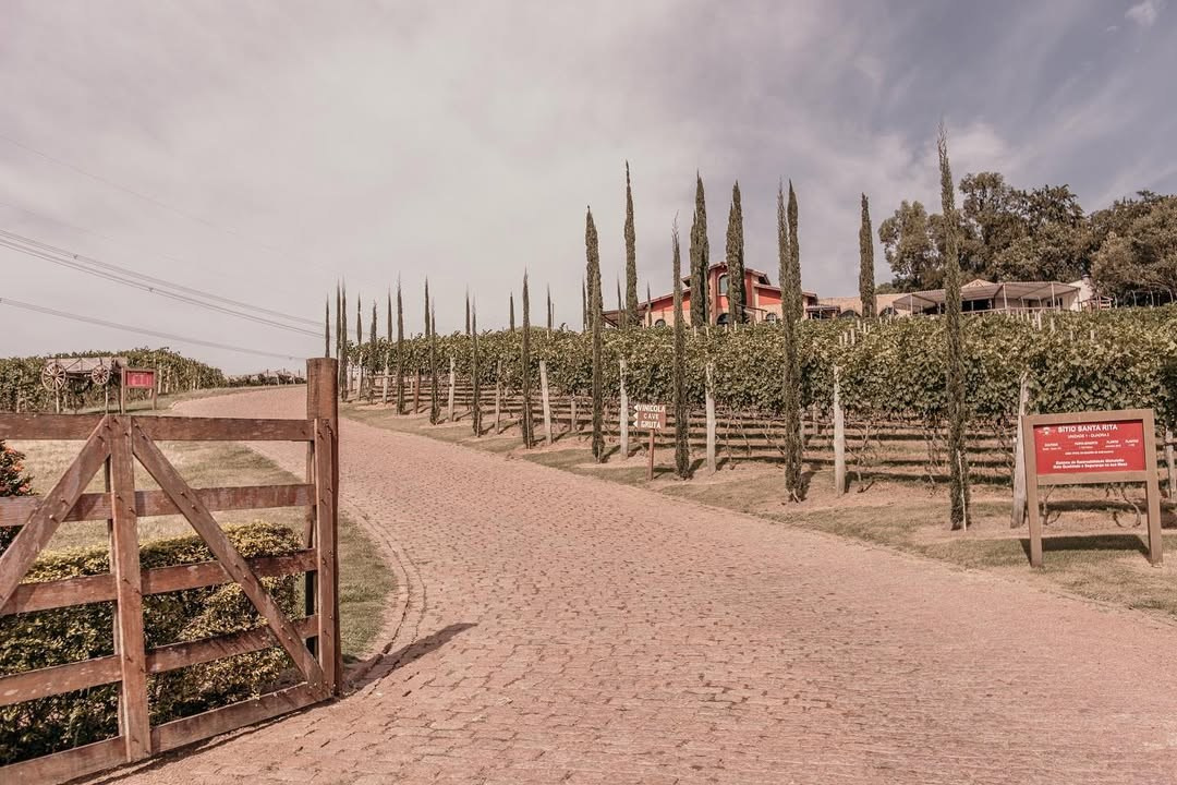 Pré-Wedding na Vinícola Micheletto: natureza, pôr do sol e um cenário perfeito para fotos inesquecíveis