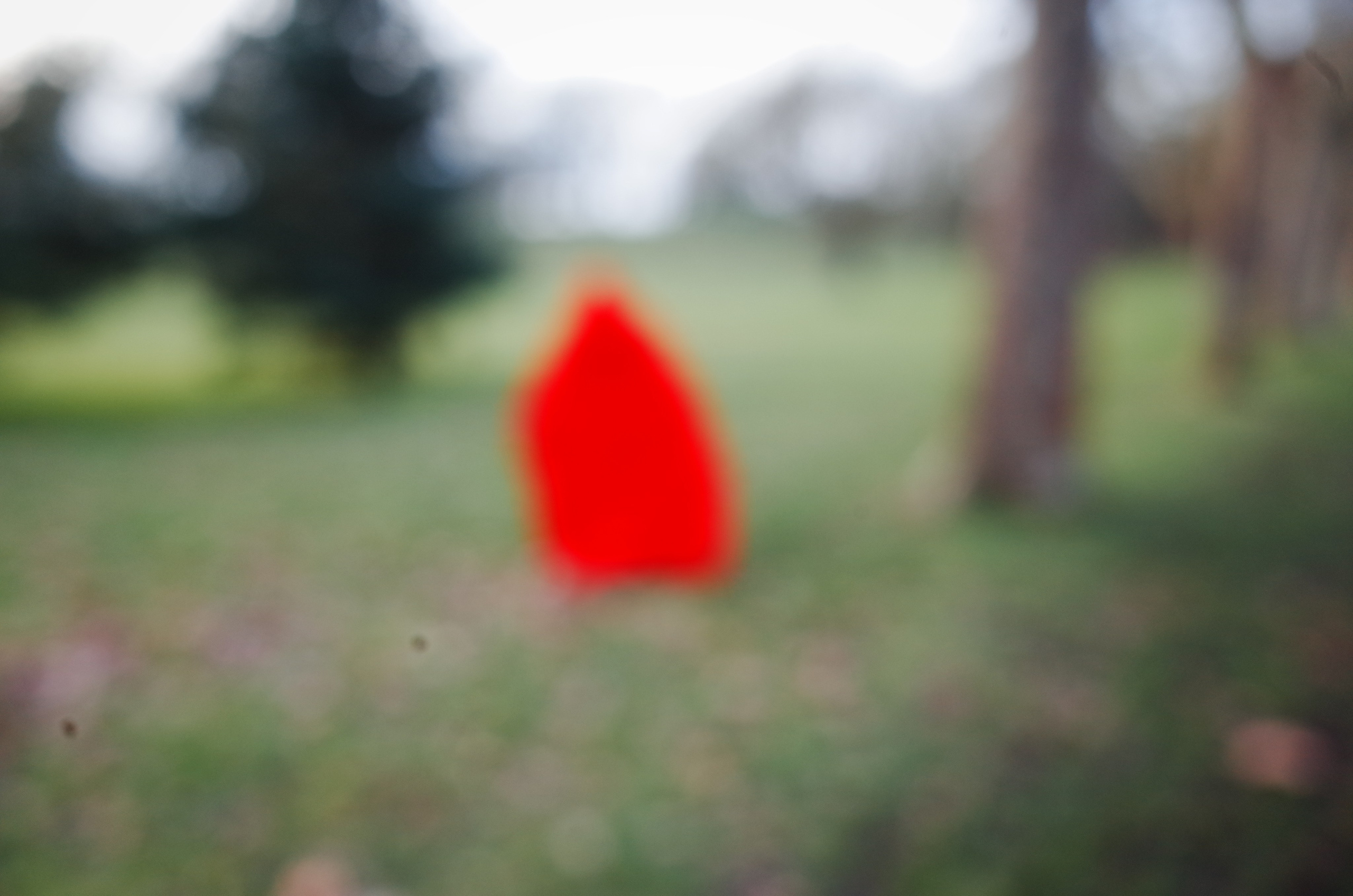 Red And Free performance — coming soon. Victoria Dini Art
