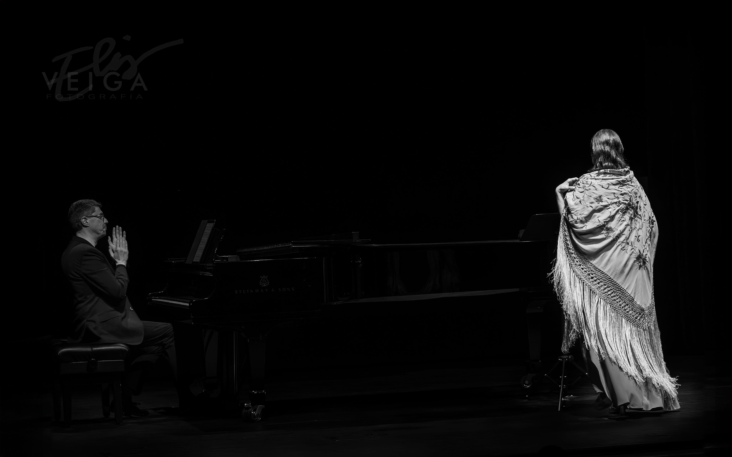 La música clásica como protagonista. Elisveiga