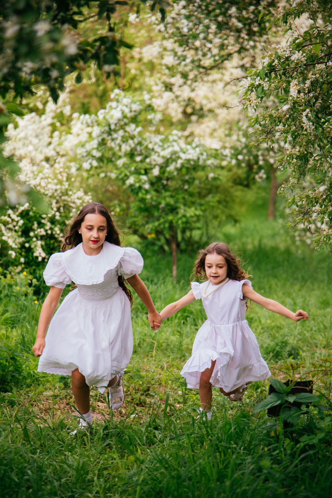 Services & Pricing. Family Lifestyle Photography