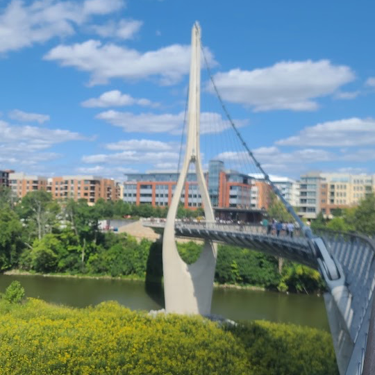 Best Places to Propose in Columbus, Ohio | Kovyphoto