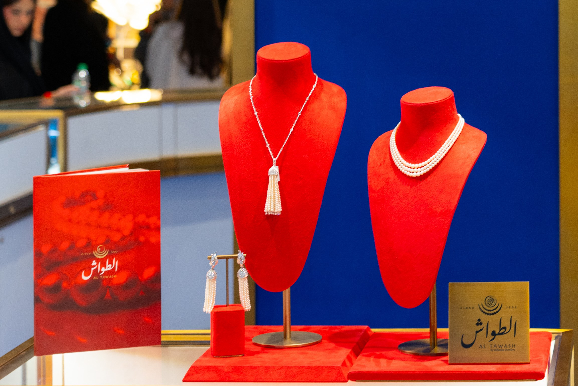 Photography Packages. Photography | Videography | Marketing